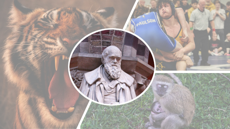 Evolusjon og atferd i akademia